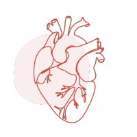 cardio reflexologie Carcassonne